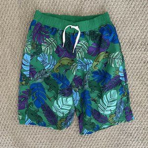 Hanna Andersson Boys Trunks